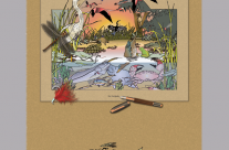 IAI-the Everglades