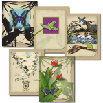 Series of eight nature series note cards by Illustration Alley, Inc.