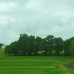 Photo filtered Italian landscape.