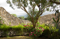 Pompei Garden