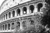 Coliseum