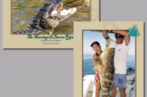 Post Cards