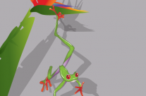 Little Green Frog