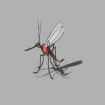 Clip art mosquito by Illustration Alley, Inc. in Naples Fl.